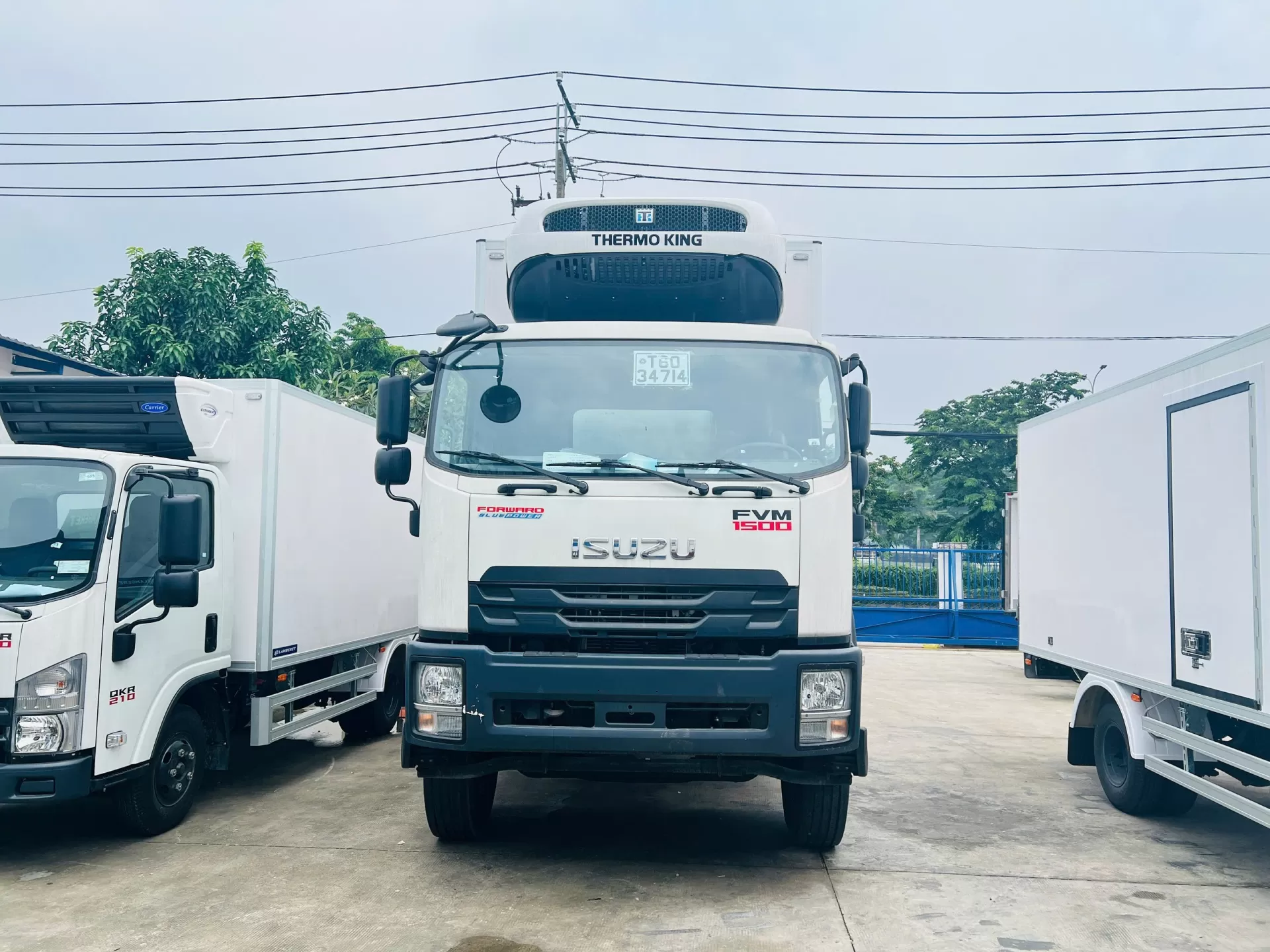 Mẫu Euro 4 chưa bao giờ hết hot tại Lamberet